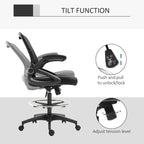 Office Chair with Lumbar Support