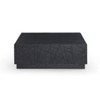 Kenda Modern Black Oak Square Coffee Table With Storage